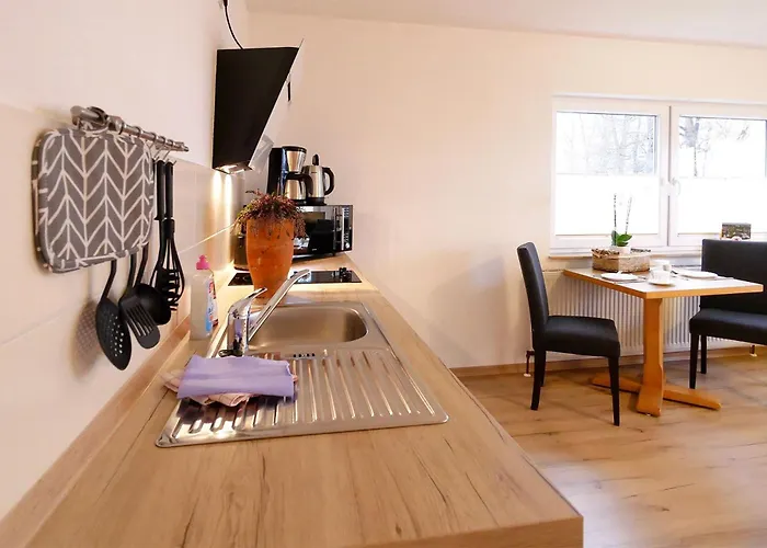 Urlaub Im Fischland Scharmuetzelsee